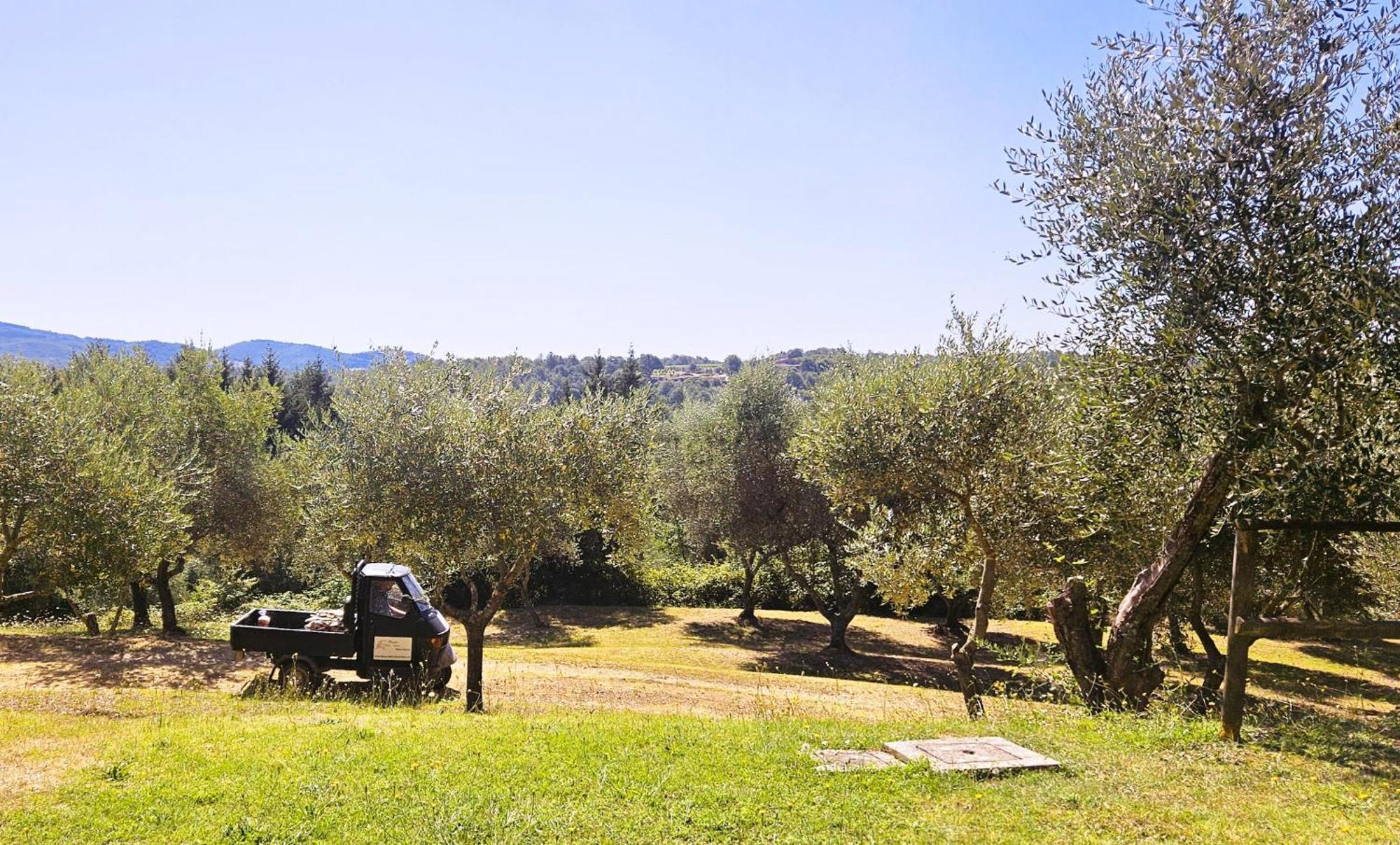 Appartamento Pian della Bandina Città della Pieve Esterno foto